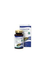 Pernaton Classic Grünlippmuschel