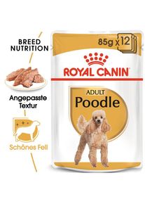 Royal Canin Poodle Adult in Soße 48x85 g