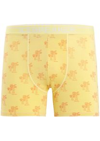 Icebreaker Anatomica Boxer Herren - gelb - Gr. M - Merinowolle/Polyamid/Elastan