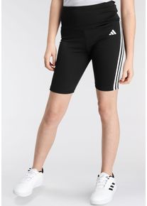 adidas Sportswear Shorts »TRAIN ESSENTIALS AEROREADY 3STREIFEN TRAINING BIKER«, (1 tlg.)