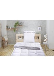 Älgdröm ÄLGDRÖM Daunenbettdecke »Bettdecke ""Sorsele"", Wärmeklasse leicht, normal, warm, extrawarm, kuschelige Daunenbettdecke von «, Füllung 60% Daunen &...