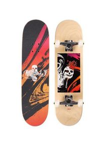 Globe Mt Warning Mid 7.6" Komplettboard h2o