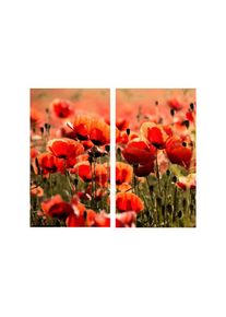 Wall-Art Herd-Abdeckplatte »Herdabdeckplatte Mohnblumen«, (Set, 2 tlg.) bunt