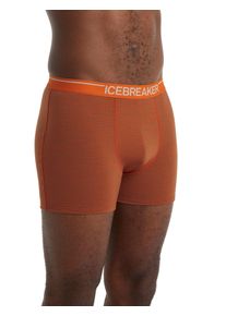 Icebreaker Merino Anatomica Boxershorts - Mann - Spice/mink Stripe - Größe M