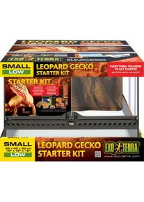 EXO TERRA Terrarium »Leopardgecko Small/Low«, (Set), BxTxH: 45x45x30 cm schwarz