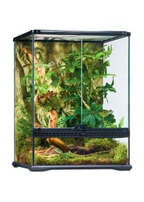 EXO TERRA Terrarium, BxTxH: 45x45x60 cm, inkl. Rückwand schwarz