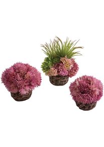 BIORB BY OASE Aquariendeko »Korallenball Set versch. Farben«, einfache Pflege, exklusives Design lila