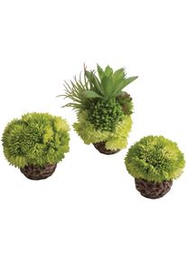 BIORB BY OASE Aquariendeko »Korallenball Set versch. Farben«, einfache Pflege, exklusives Design grün