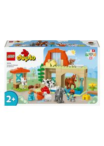 Lego® Spielbausteine »Tierpflege auf dem Bauernhof 10416«, (74 St.)