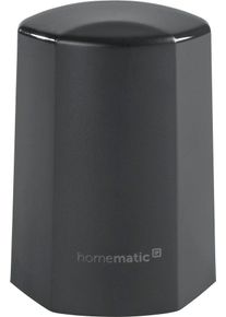 homematic IP Sensor »Temp. & Luftfeuchtigkeitssensor aussen - anthrazit (150574A0)«