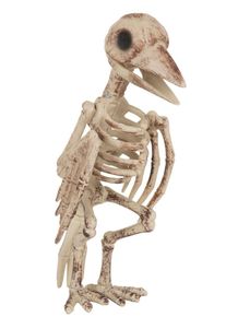 Bristol Uccello scheletro in piedi 28 x 13 cm