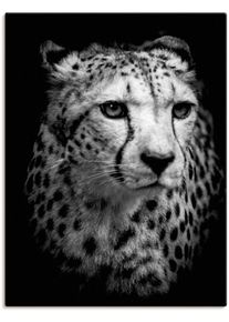 Artland Wandbild »Der Gepard«, Wildtiere, (1 St.)