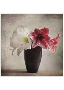 Artland Glasbild »Amaryllis Vintage I«, Blumen, (1 St.)