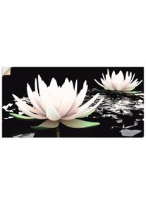 Artland Wandbild »Zwei Lotusblumen auf dem Wasser«, Blumen, (1 St.)
