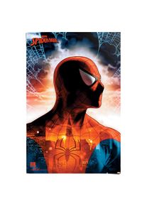 Reinders! Poster »Spiderman - protector of the city«