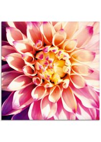 Artland Glasbild »Dahlie«, Blumen, (1 St.)