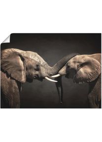 Artland Wandbild »Zwei Elefanten«, Wildtiere, (1 St.)