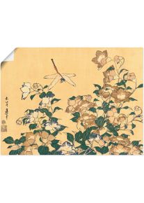 Artland Wandbild »Chinesische Glockenblume und Libelle«, Blumen, (1 St.)