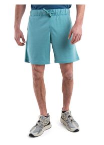 Icebreaker Merino Blend Shifter II Shorts - Mann - Cloud Ray - Größe M