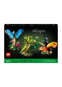Lego® Spielbausteine »Ideas Die Insektensammlung 21342«
