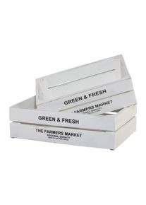 Kiste »Green&Fresh«