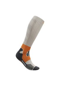 Bauerfeind Sports Herren Trail Run Compression Socks - EU 42-45 grau