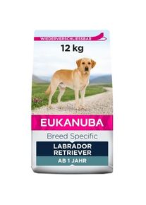 eukanuba Breed Specific Labrador Retriever 12 kg