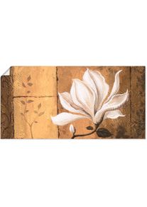 Artland Wandbild »Magnolie an Gold-Braun«, Blumen, (1 St.), als Leinwandbild, Poster in verschied. Grössen