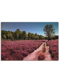 Artland Leinwandbild »Lüneburger Heide Romantik«, Blumenwiese, (1 St.), auf Keilrahmen gespannt