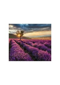 Wall-Art Herd-Abdeckplatte »Lavendel Blumen Sonnenaufgang«, (1 tlg.), moderne Schutzplatte