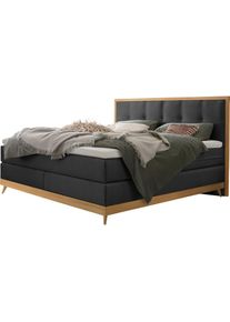 Hasena Boxspringbett »Villa« braun anthrazit/Eiche bianco