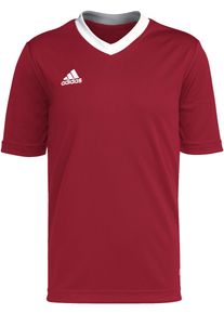 adidas Performance Fussballtrikot »ENT22 JSY Y«