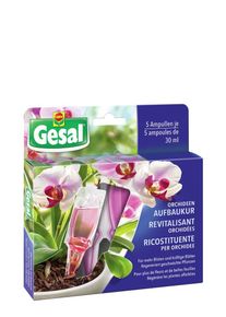Gesal Orchideen-Aufbaukur