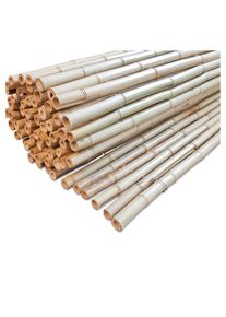 Windhager Sichtschutzmatte Bambusmatte Ontake natur Bambus 180x180 cm günstig