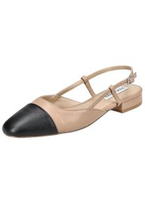 Steve Madden Ballerina 'BELINDA' Damen, braun / schwarz, Größe 37