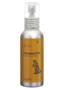 puralpina Marmotte Massageöl