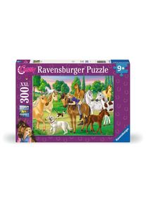 Ravensburger Lissy und Arcado auf der Koppel - ab 9 Jahre