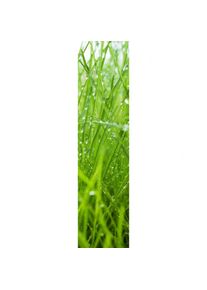 XIMAX Raumheizk&ouml;rper Design Heizk&ouml;rper P1 Plan Print Gras vertikal, 180x44,5 cm (816 W)