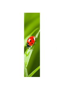 XIMAX Raumheizk&ouml;rper Design Heizk&ouml;rper P1 Plan Print Marienk&auml;fer vertikal, 180x44,5 cm (816 W)