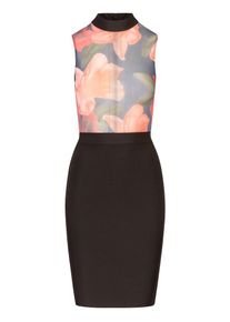 Kraimod Etuikleid Damen, orange / schwarz, Gr&ouml;&szlig;e 36