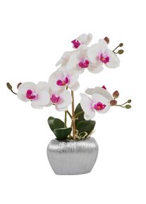 Home Affaire Kunstpflanze »Orchidee«, Kunstorchidee, im Topf