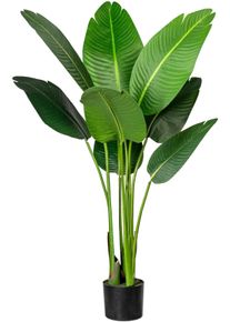 Creativ green Künstliche Zimmerpflanze »Strelitzia«