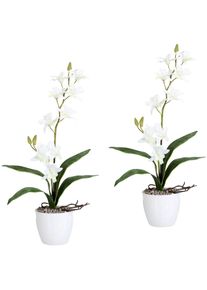 Creativ green Kunstpflanze »Orchidee Dendrobie«, im Keramiktopf