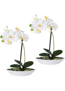 Creativ green Kunstorchidee »Phalaenopsis«, 2er Set, in Kunststoffschale