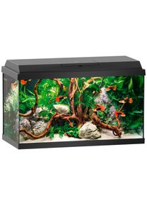 Juwel Aquarium JUWEL AQUARIEN Aquarium »Primo 60«, BxTxH: 61x31x37 cm, 60 l schwarz