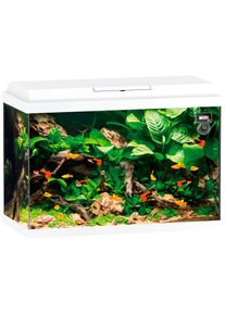 Juwel Aquarium JUWEL AQUARIEN Aquarium »Primo 70«, BxTxH: 61x31x44 cm, 70 l weiß