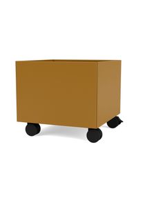 Mini Play Aufbewahrungsbox Amber Montana QUICK SHIP
