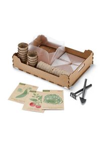 Indoor-Anzucht-Starter-Set - Tchibo - Hellgrau