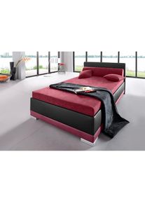 Maintal Polsterbett, Kunstleder, in 6 verschiedenen Ausführungen, Made in Germany rot schwarz/bordeaux