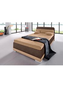 Maintal Polsterbett, in verschiedenen Ausführungen braun cappuccino/braun